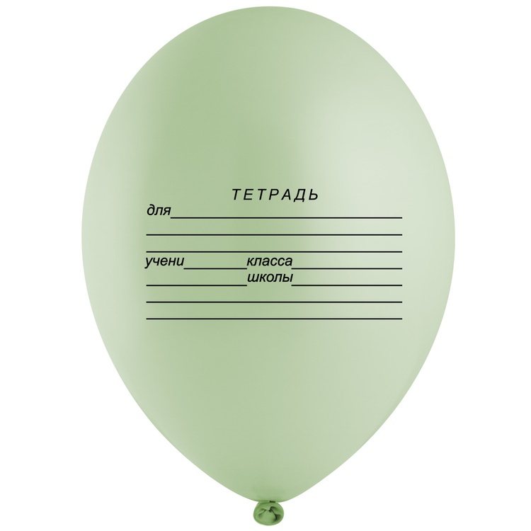 B 14" Школьная тетрадь, 1 шт 