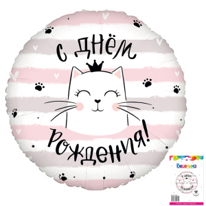 FL 18 Круг Котик С ДР в упаковке