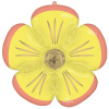 AN 28 Фигура Цветок Маргаритка желтый